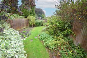 Garden- click for photo gallery